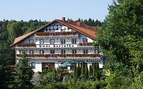 Dwor Bartnika